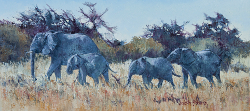 Elephants leaving Waterhole - Etosha | 2014-15 | Oil on Canvas | 34 X 68 cm